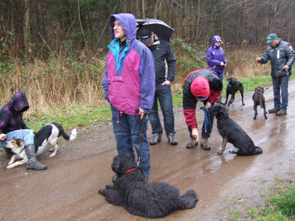 unghundegruppe Sigrid Mai 2014