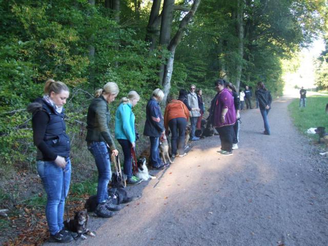 Waldtraining 2015