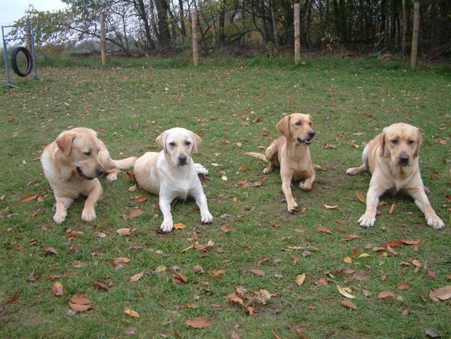 6_11_06 007.JPG