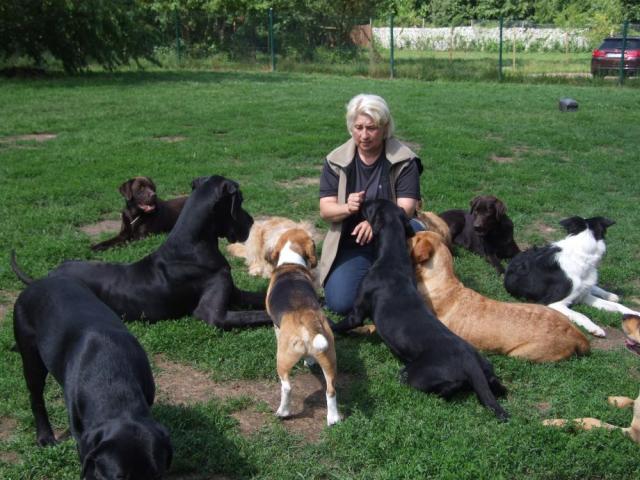 Sigrid als Hundebetreuerin