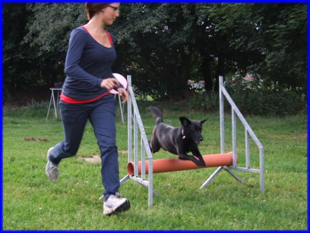 Fackelnacht 2011 mit Agility-Turnier