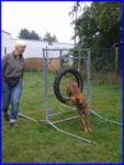 Agility bei Anne