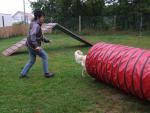 Agility bei Anne