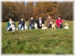 Apportieren am Wald
