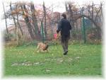 Sabine in Action