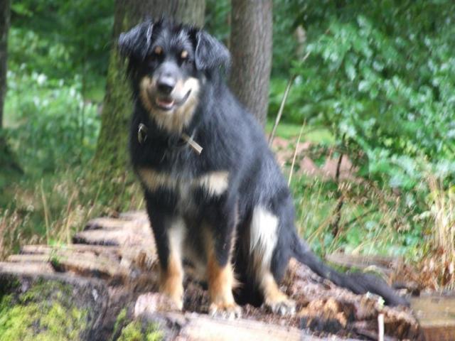 Juli 2012